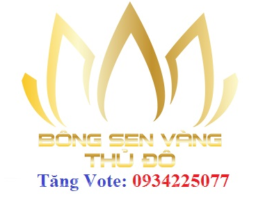 binhchonbongsenvangthudo